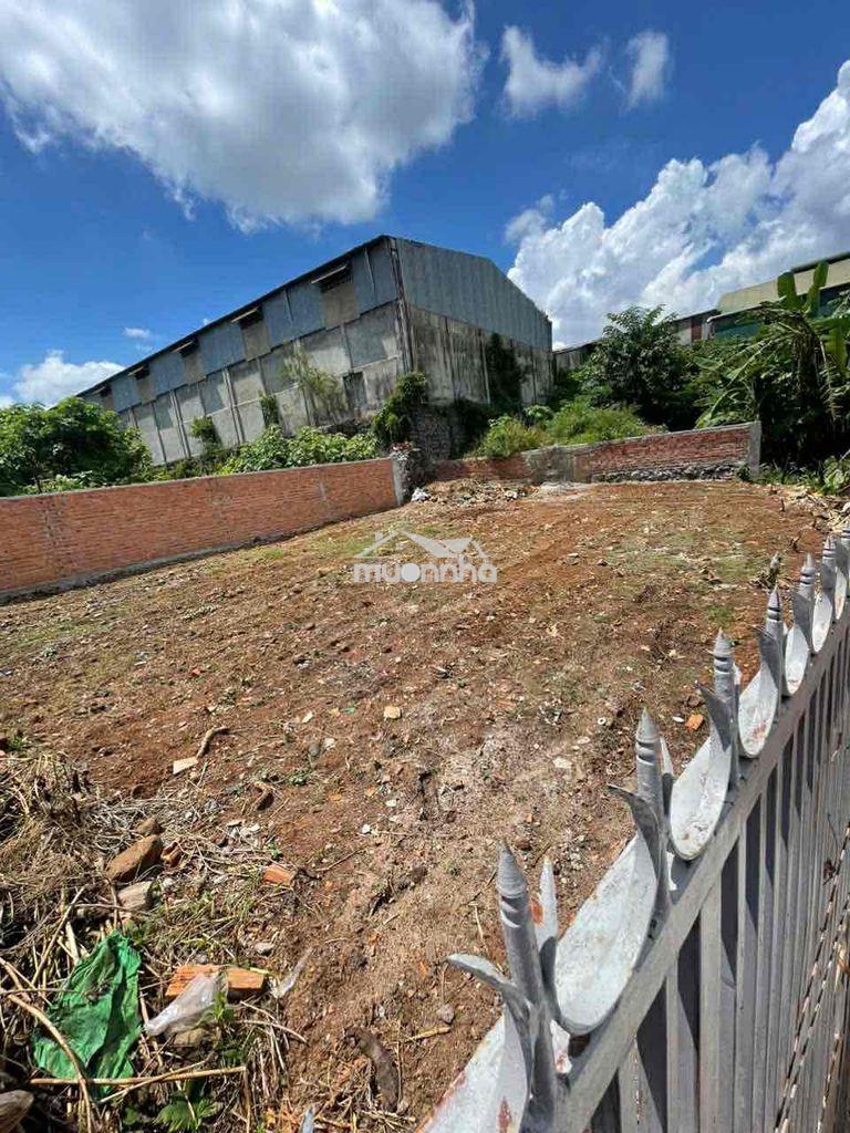 Đất trung tâm full thổ cư-tặng kèm 200m2 đất ruộng.giá cực tốt - 2