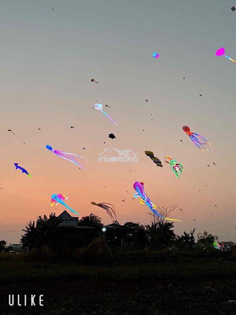 Cần kiếm phòng trọ - 2
