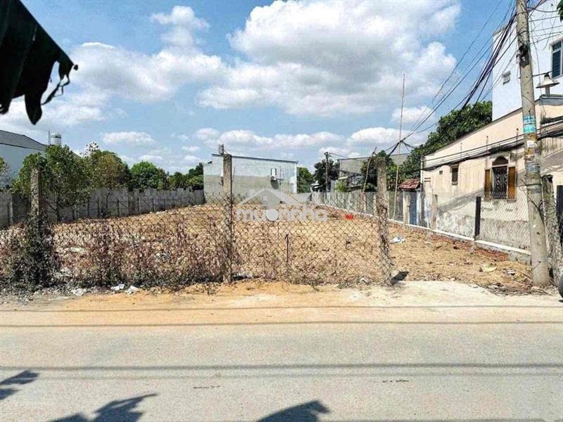Nền sạch đẹp hơn 500m2