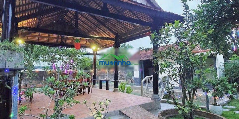 Bán gấp: nhà sân vườn 15x37m, 610m2, 2 phòng ngủ, võ văn điều, thái mỹ, chỉ 960 triệu, sổ riêng - 2