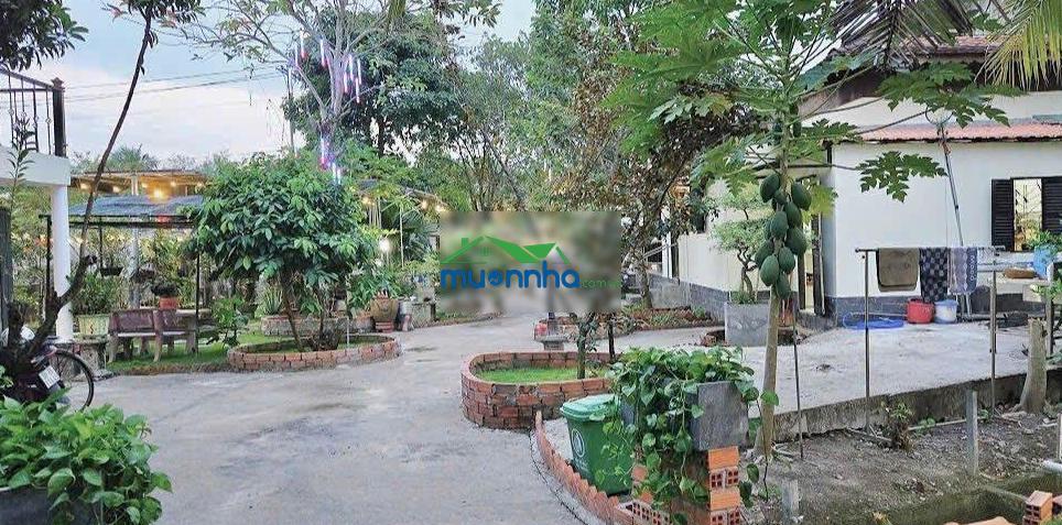 Bán gấp: nhà sân vườn 15x37m, 610m2, 2 phòng ngủ, võ văn điều, thái mỹ, chỉ 960 triệu, sổ riêng - 3