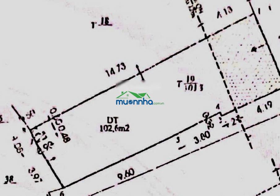Gấp bán nhà hẻm xe hơi tô hiến thành, ngang khủng 6m, giá chỉ 25 tỷ tl - 3