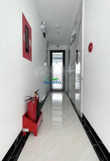 Gấp bán chdv 5 tầng, thang máy, dòng tiền 100tr/tháng, bùi quang là, gò vấp, 5x22m, nhỉnh 17 tỷ - 3