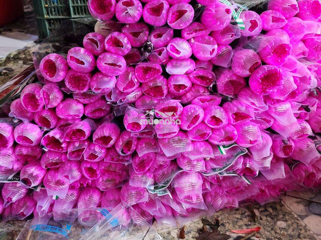 32m mặt tiền  - 2