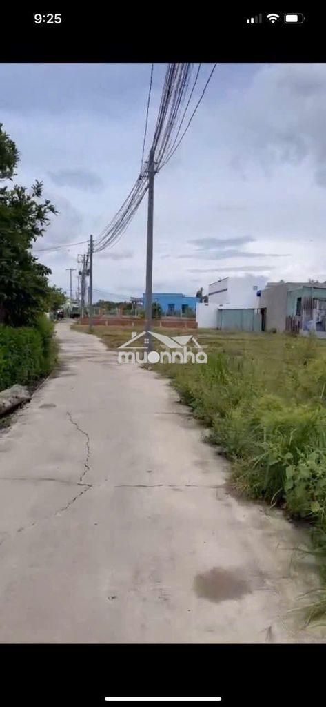 Đất lúa 1200m đường 2m cách đường xe hơi 50m ➡️ xã phước tuy cần đước