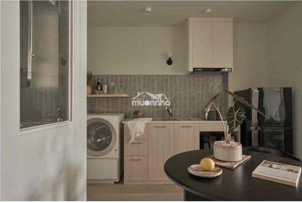 Cho thuê căn hộ dịch vụ quận 1 (gần phố đi bộ nguyễn huệ) - 3