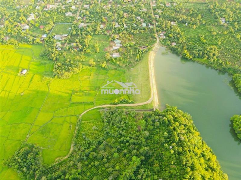 🌿 Sở hữu quả đồi view triệu đô  – chính chủ 🌿
