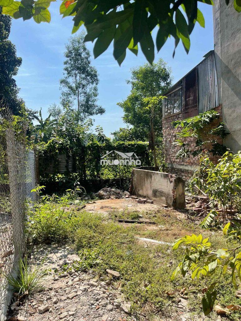 Nhà 1,350 tỷ giang điền 190m2 sổ riêng - 4