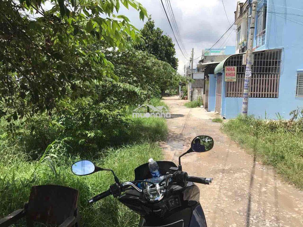 Bán quỹ đất lớn 3.151,1m² – đông thạnh, hóc môn – cơ hội đầu tư hiếm - 2