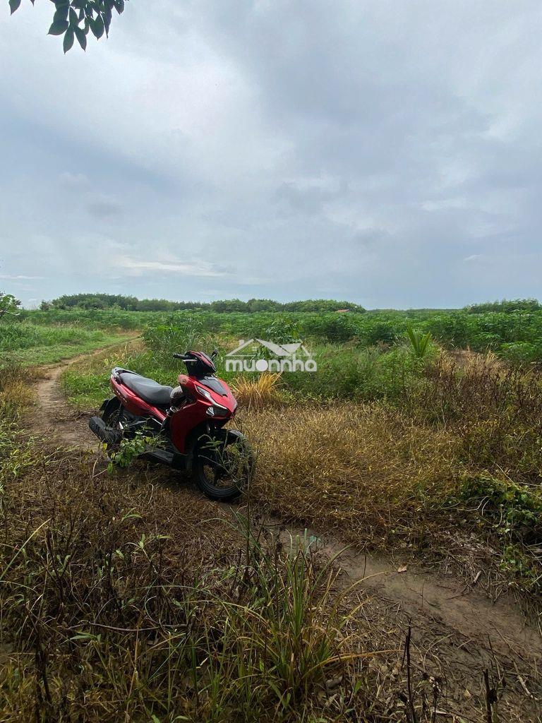 Bán đất chính chủ - 3