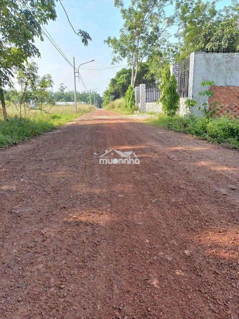 Cần bán hơn 9 sào đất trung tâm thành phố đồng xoài đồng nai 390đ - 2
