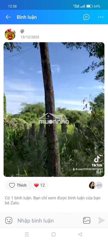 Cần bán đất vườn - 4