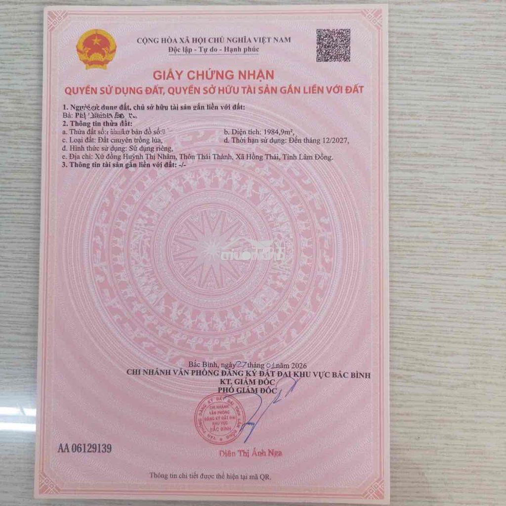 Chính chủ bán gấp lô đất bắc bình - sổ hồng sẵn - giá đầu tư - 2