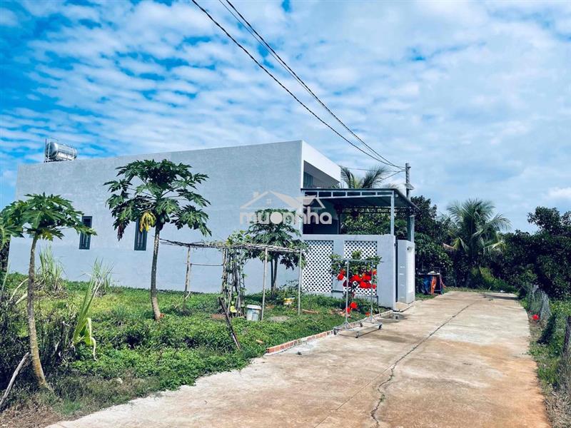 🌿 Sở hữu ngay vườn sinh thái giữa lòng bình lộc – giá mềm hiếm có