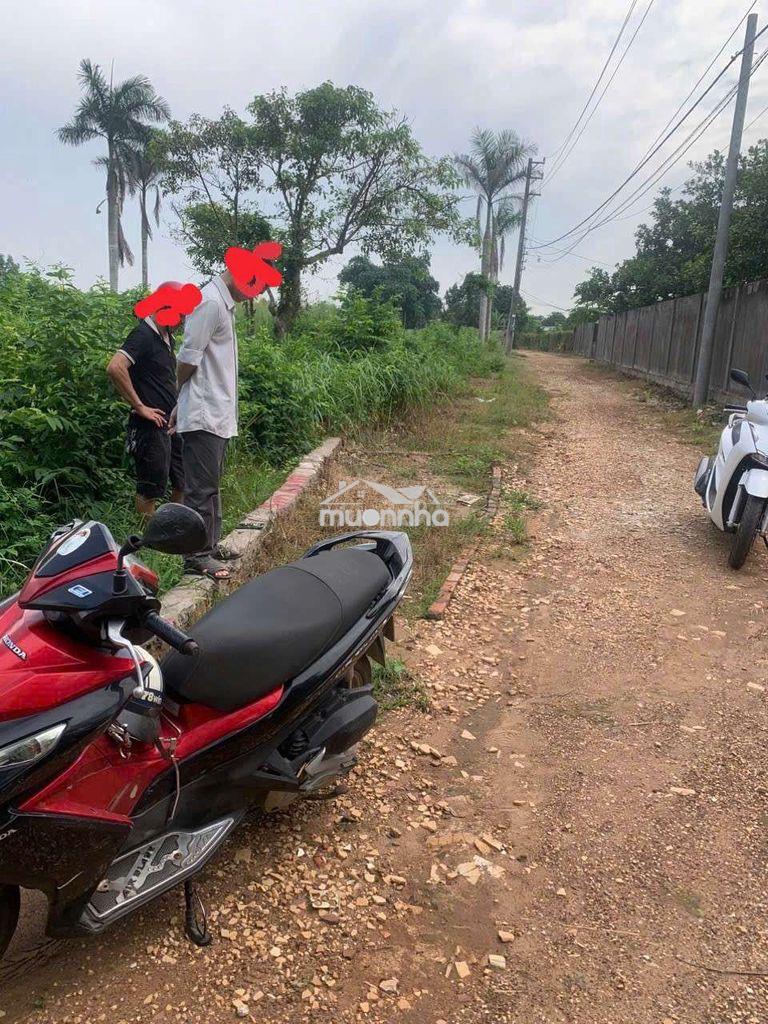 Đất thổ cư 2 mặt tiền đường 7m - 2