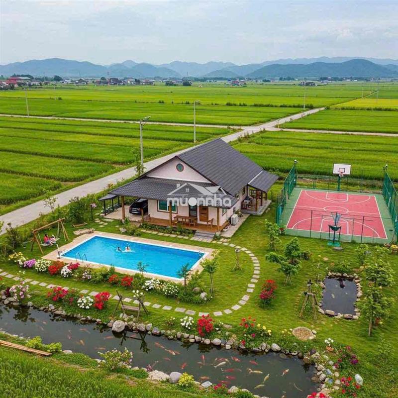 Cần bán gấp lô mặt tiền đ: nguyễn thị tồn