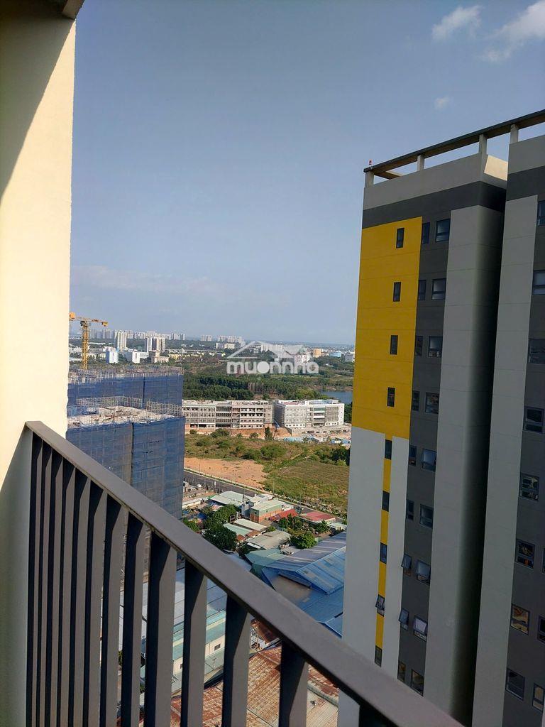 Cho thuê cc 6.2tr gần sân bóng kinh tế luật