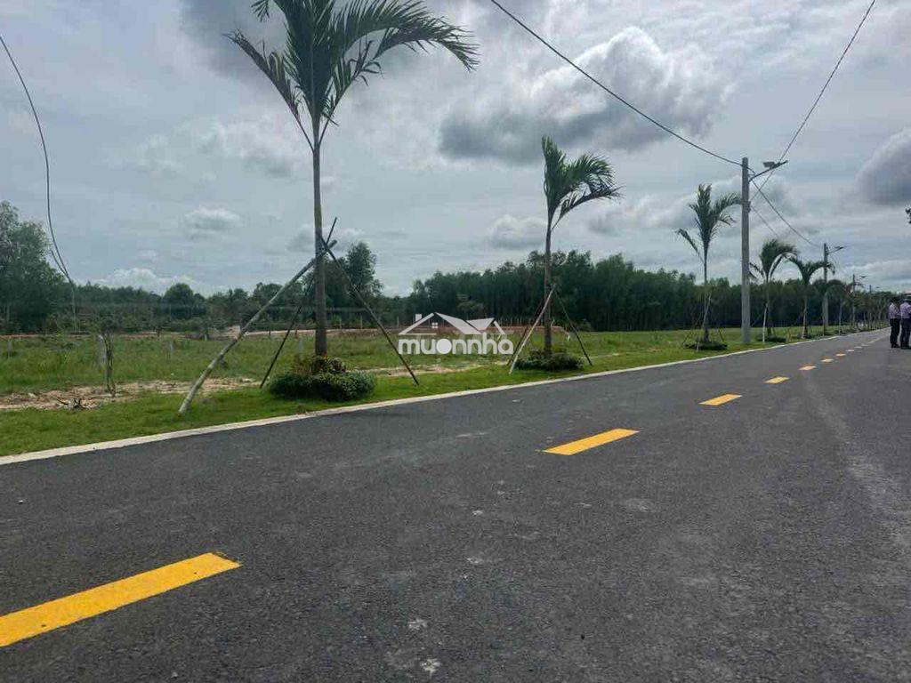 Đất vàng sinh lời, đầu tư vững tương lai, pháp lý chuẩn - 2