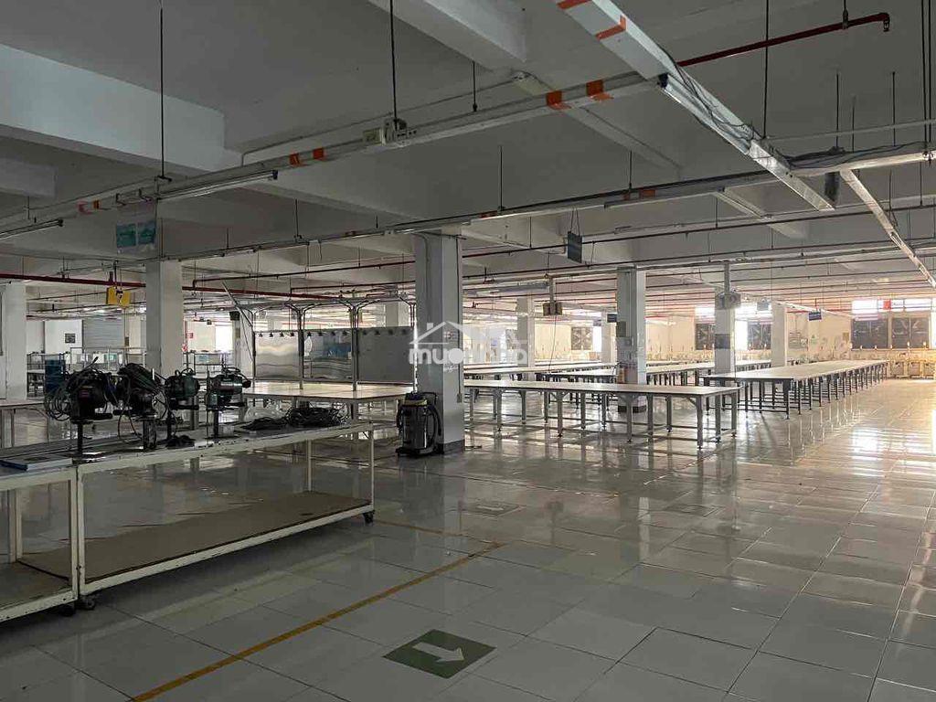 Cho thuê tầng trệt nhà xưởng kcx tân thuận - 3