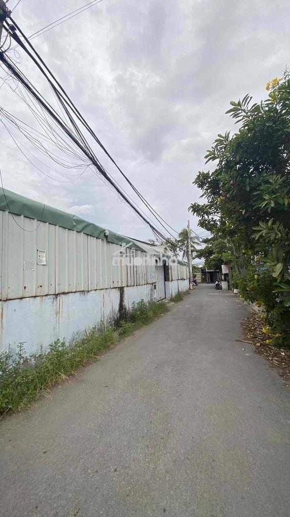 Cho thuê kho 10x30m - 3