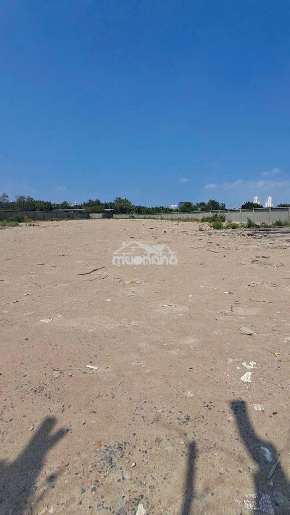 Cho thuê đất nguyễn hữu thọ, 5.500m² – giá chỉ 60 triệu/tháng - 2
