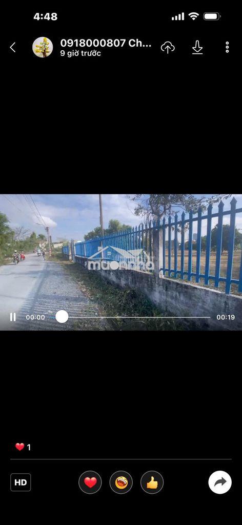2 mt lộ bờ đai 14,2m x 20m,phuoc lý,go den - 3
