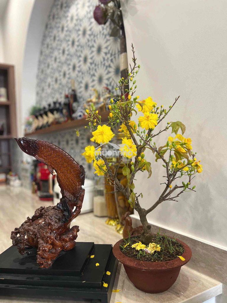 Chính chủ cần bán nhà mới đẹp vào ở ngay trung tâm quận 3 - 3