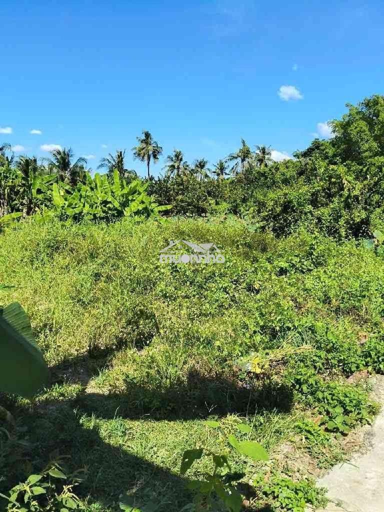 Còn sót 1 lô *** đất thổ cư -phường thạnh xuân-q12 -tphcm - 3