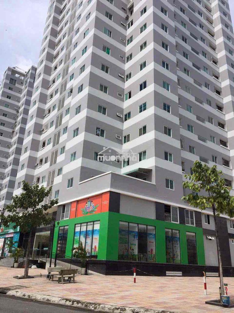 Cho thuê kho  tầng trệt khu chung cư  thái sơn - 3
