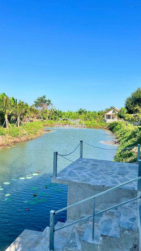 Chính chủ bán 5.000m² đất vườn 328m² thổ cư, mặt tiền 200m, có hồ & su - 3