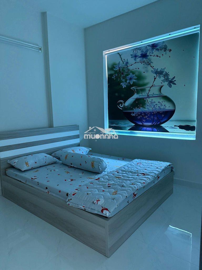 Cần cho thuê căn hộ green river quận 8 dt 65m2, 2pn, 2wc,giá 10.5 tr - 2