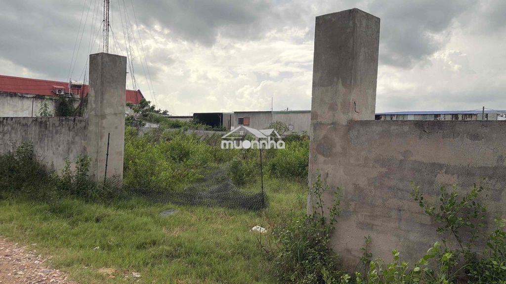 🔥 Cần bán gấp đất nền 500m² – phường phước thắng (p.12 cũ), tp. hồ chí - 3
