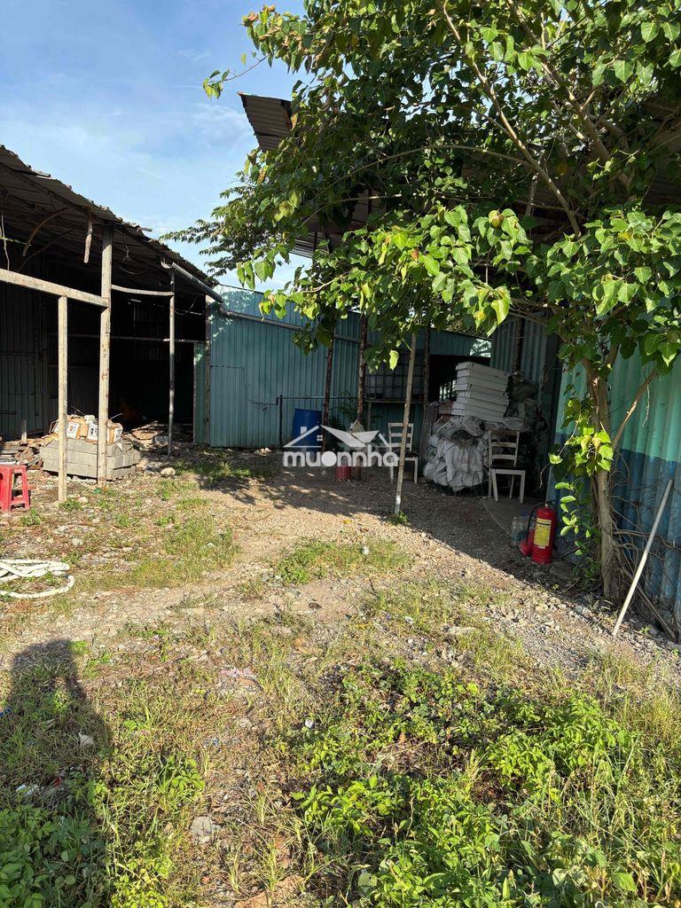 Cho thuê đất vườn / mặt tiền hẻm xe hơi ( phù hợp kinh doanh)