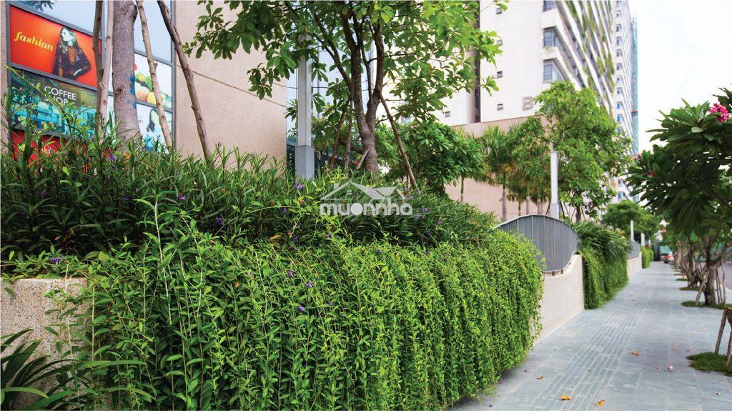 Cần cho thuê diamond lotus riverside 2pn-1wc,  full nội thất_giá 14tr - 3