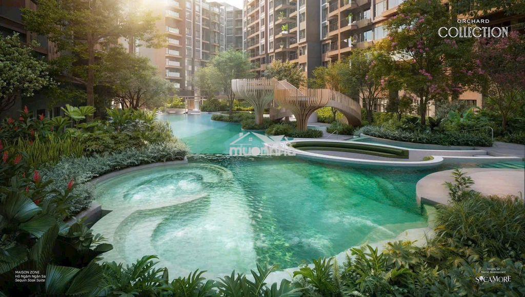 Orchar collection chỉ thanh toán 300 triệu trong năm 2026 lh*** - 4