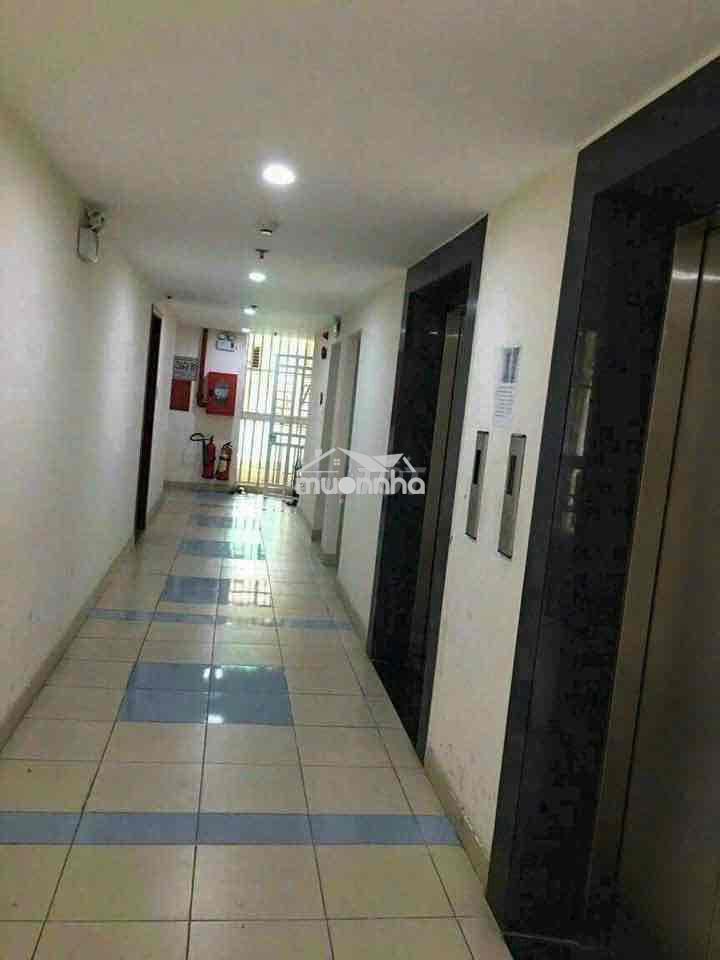 Cǎn hộ. chung cư đông hải,64m2 2pn 2wc - 2