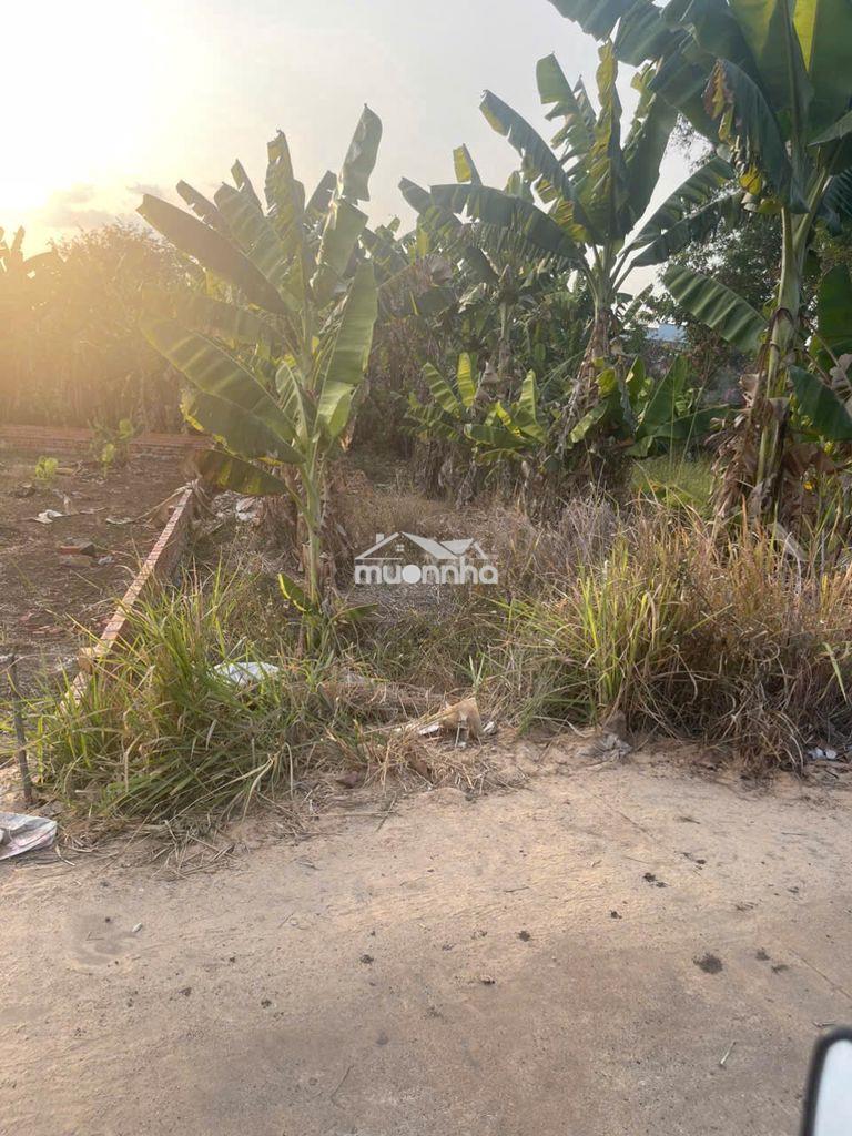 Bán đất chính chủ gia tân 2, thống nhất, đồng nai