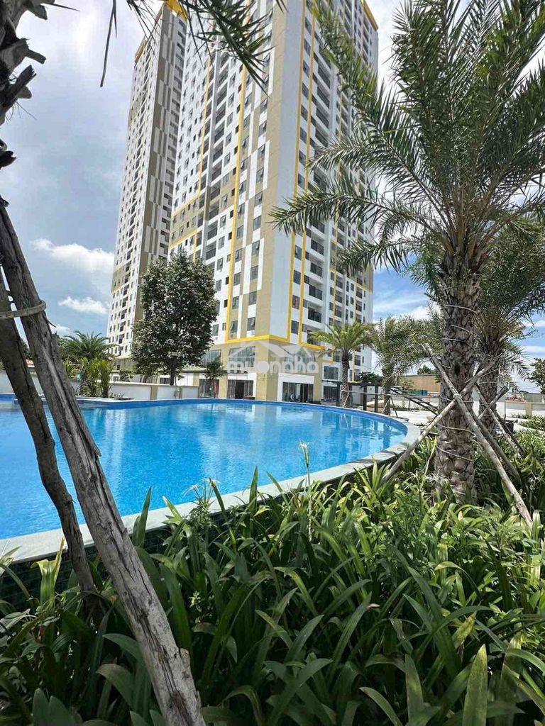 Căn hộ stuido siêu hiếm dimond boulevard nhận nhà ngay - 2