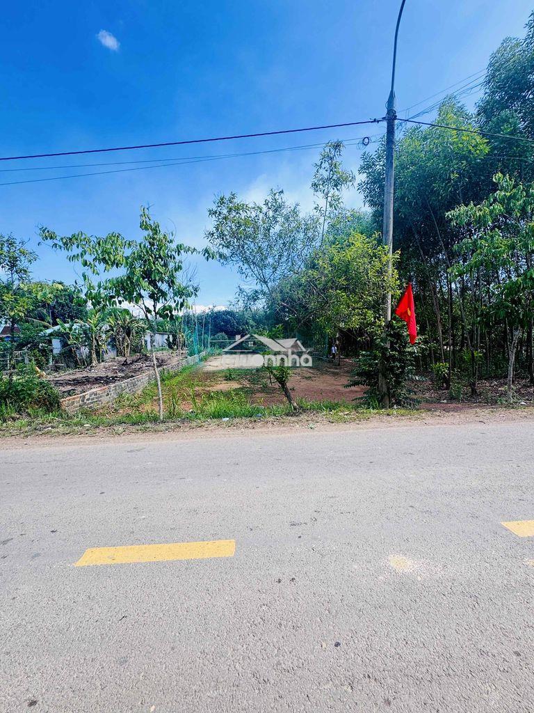Bán gấp đất kẹt ngân hàng - 2