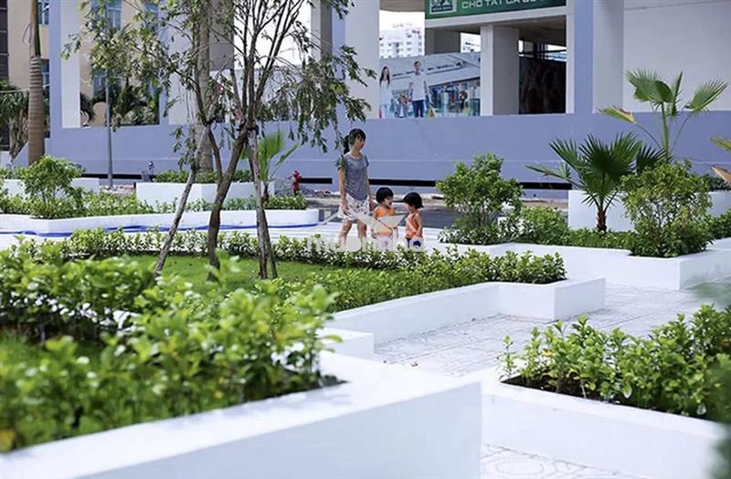 Bán căn hộ 8x đầm sen 1pn ( sổ hồng)