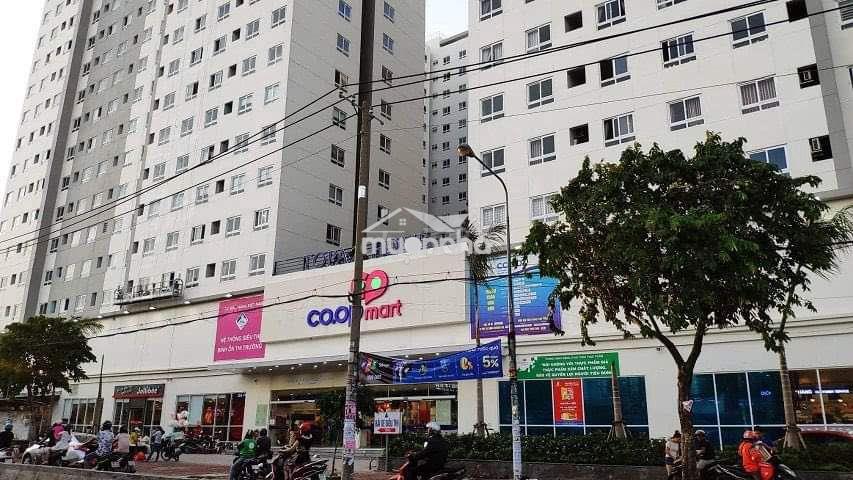 Topaz home 2 phòng ngủ căn thương mại bán giá từ 2,1 tỷ - 4