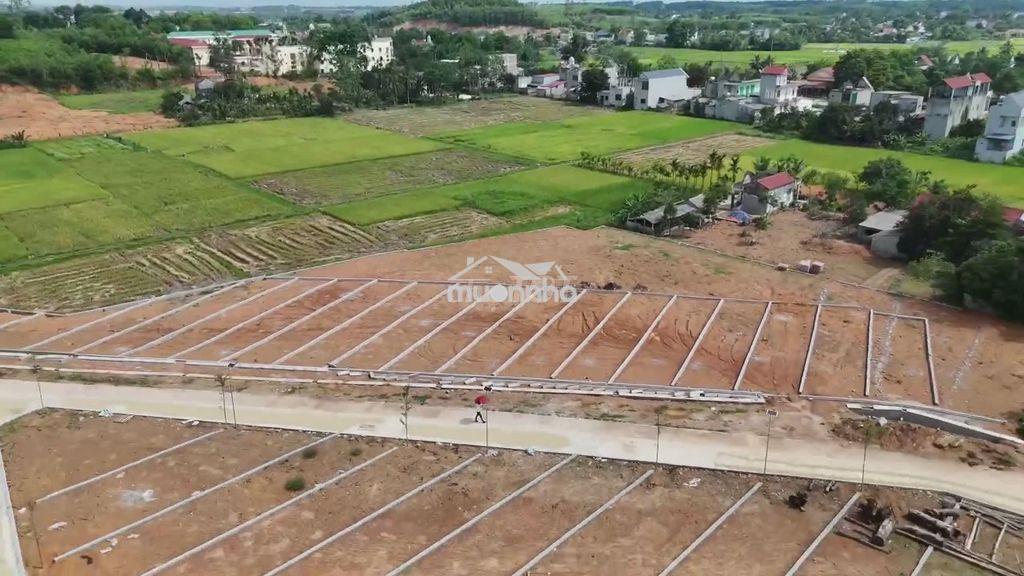 Đất thổ cư giá rẻ đồng xoài - 2