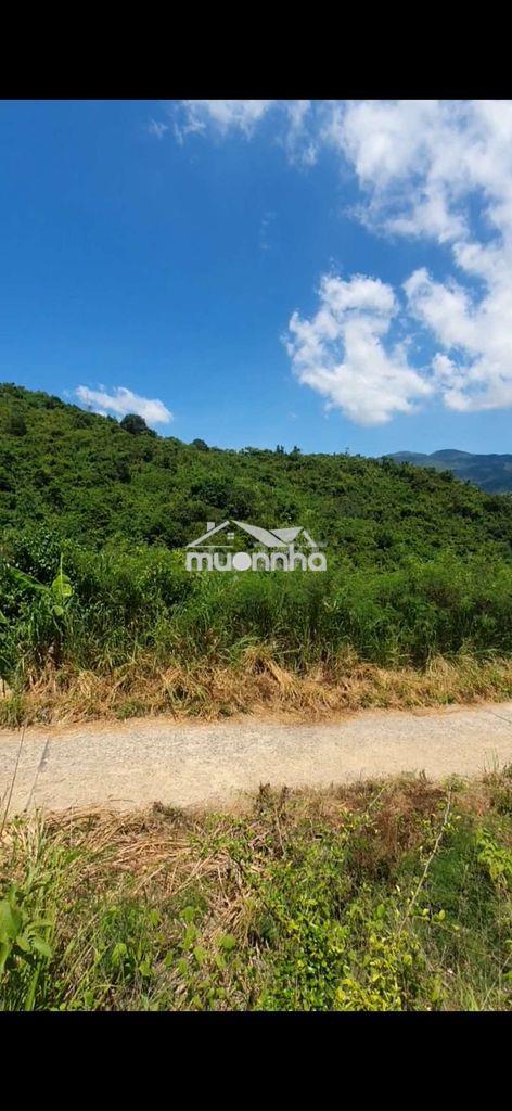Gần 2000m2 rẫy mặt tiền bắc nha trang – view núi, suối tự nhiên – ôtô - 4