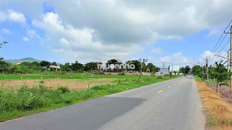 Đất đẹp mặt tiền tỉnh lộ 44b