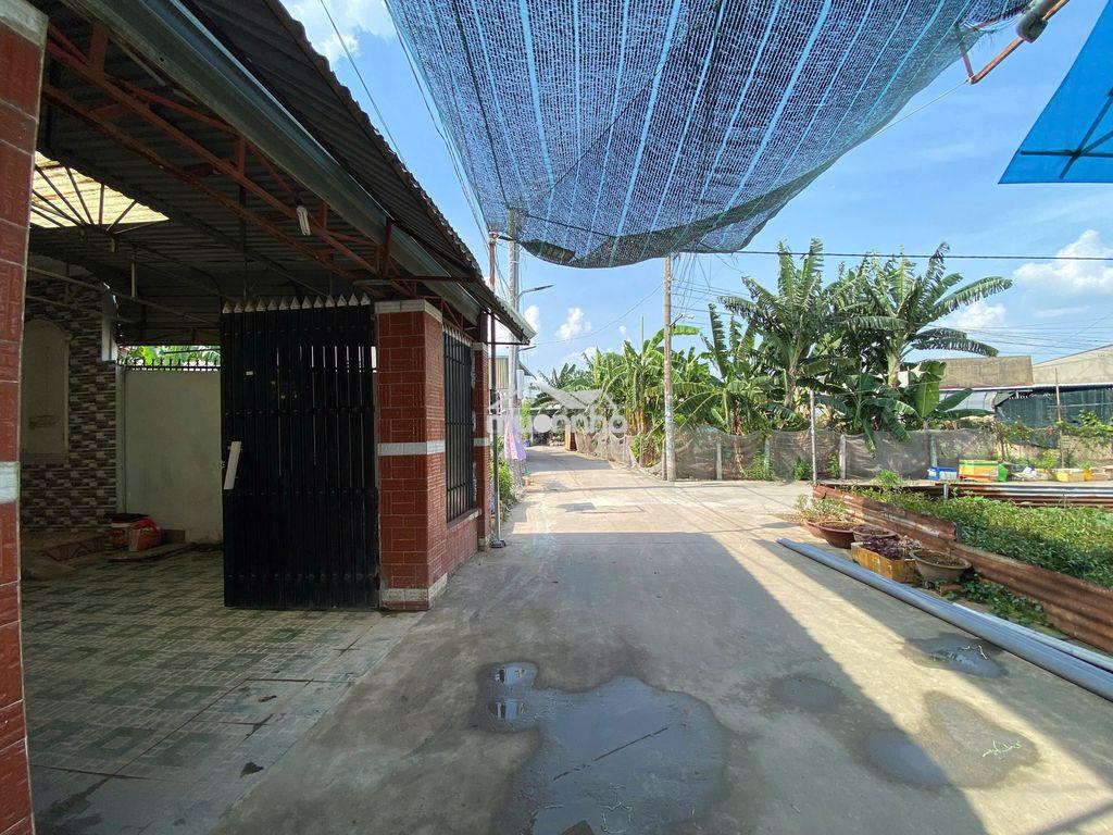 Nhà kp11a tân phong cho thuê nguyên căn 115m2 - 2
