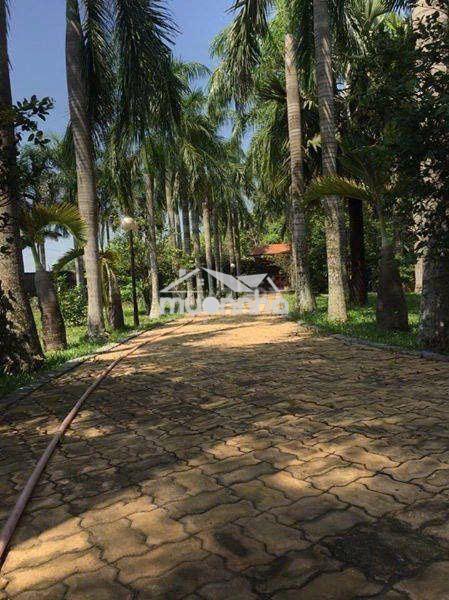 Bán biệt thự nghỉ dưỡng siêu đẹp 4000m vuông củ chi - 2