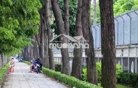 Cho thuê kho hoặc văn phòng ngang 9m mặt tiền quang trung giá 5tr