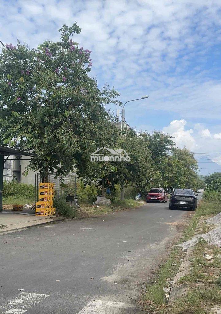 Lô sạch đẹp đường 5m5 hoà liên 7, gần nguyễn tất thành, cách trường họ - 3