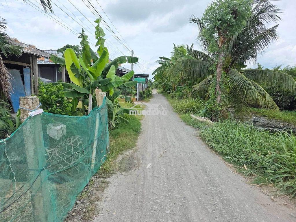 Bán đât nền xã tân điền gò công đông ven biển - 2