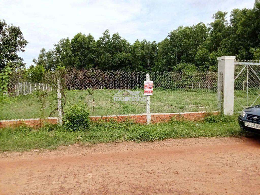 Chính chủ cần bán gấp đất 1945m2 hẻm thông nờ hậu - 4